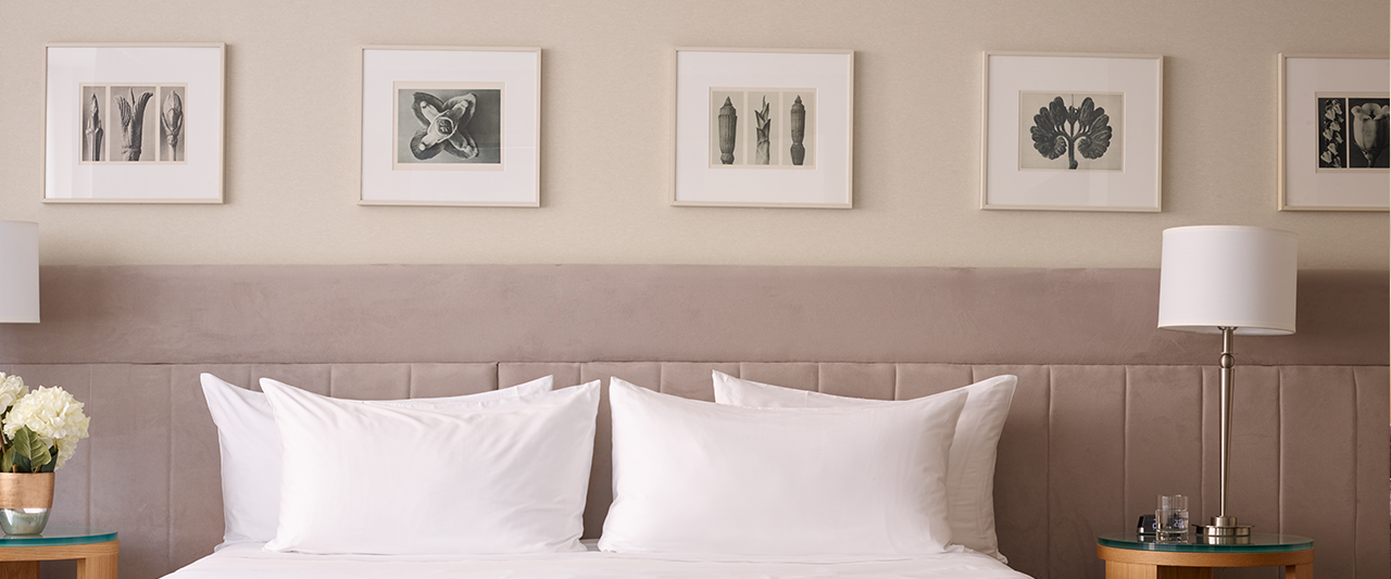 bed-detail-banner